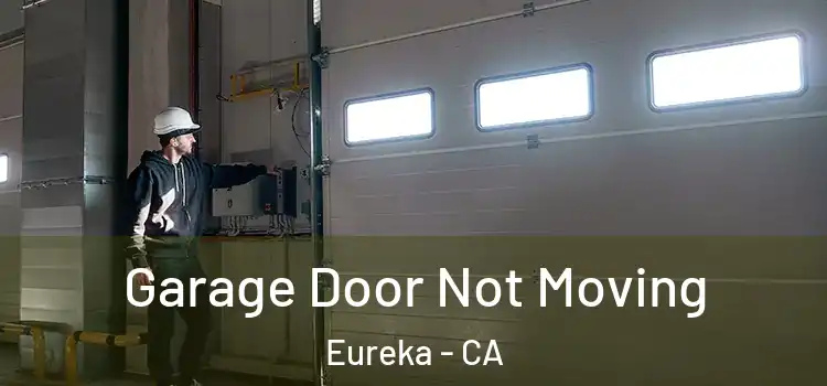  Garage Door Not Moving Eureka - CA