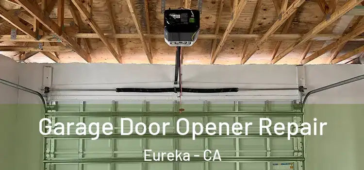  Garage Door Opener Repair Eureka - CA