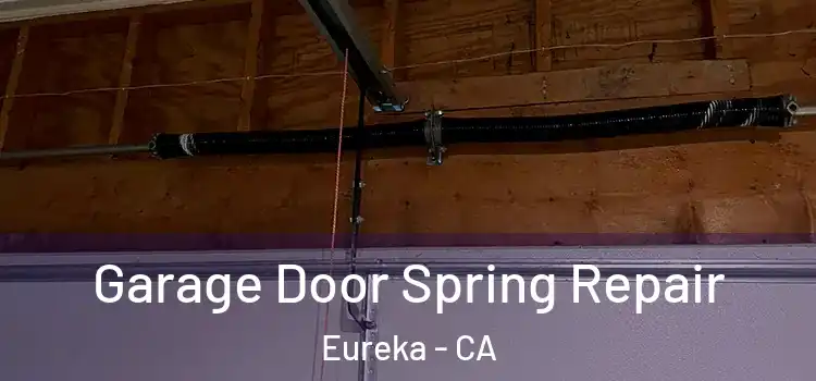  Garage Door Spring Repair Eureka - CA