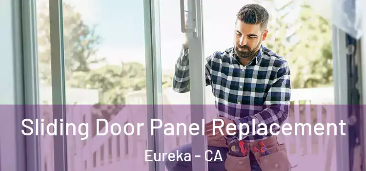  Sliding Door Panel Replacement Eureka - CA